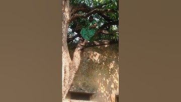 Thumbnail of Pushpa Pushpa Raj song #new #viral #tanding #viralvideo #viral #shortvideo #shorts #song