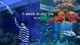 vlog 14 • ไปดูสัตว์น้ำสุดน่ารัก Sea life Bangkok🐬, ฟิตเนสตอนเช้า, วันหยุดฉีดวัคซีน |Junior Freestyle