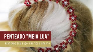 Como fazer o penteado 'Meia Lua' em lhasa apso