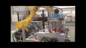 Flokontrol - Servo Line Divider and Case Packaging of Canned Foods