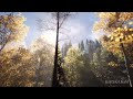 Beautiful Relaxing Music - Calming Sleep Music, Peaceful Landscapes for Instant Stress Relief