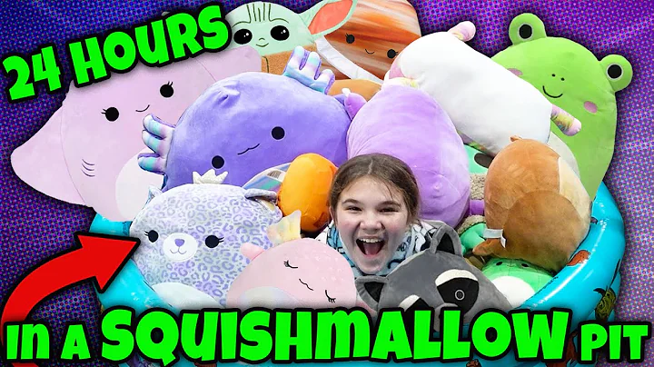 24 Hours In A Squishmallow Pool! Carlaylee HD 24 H...