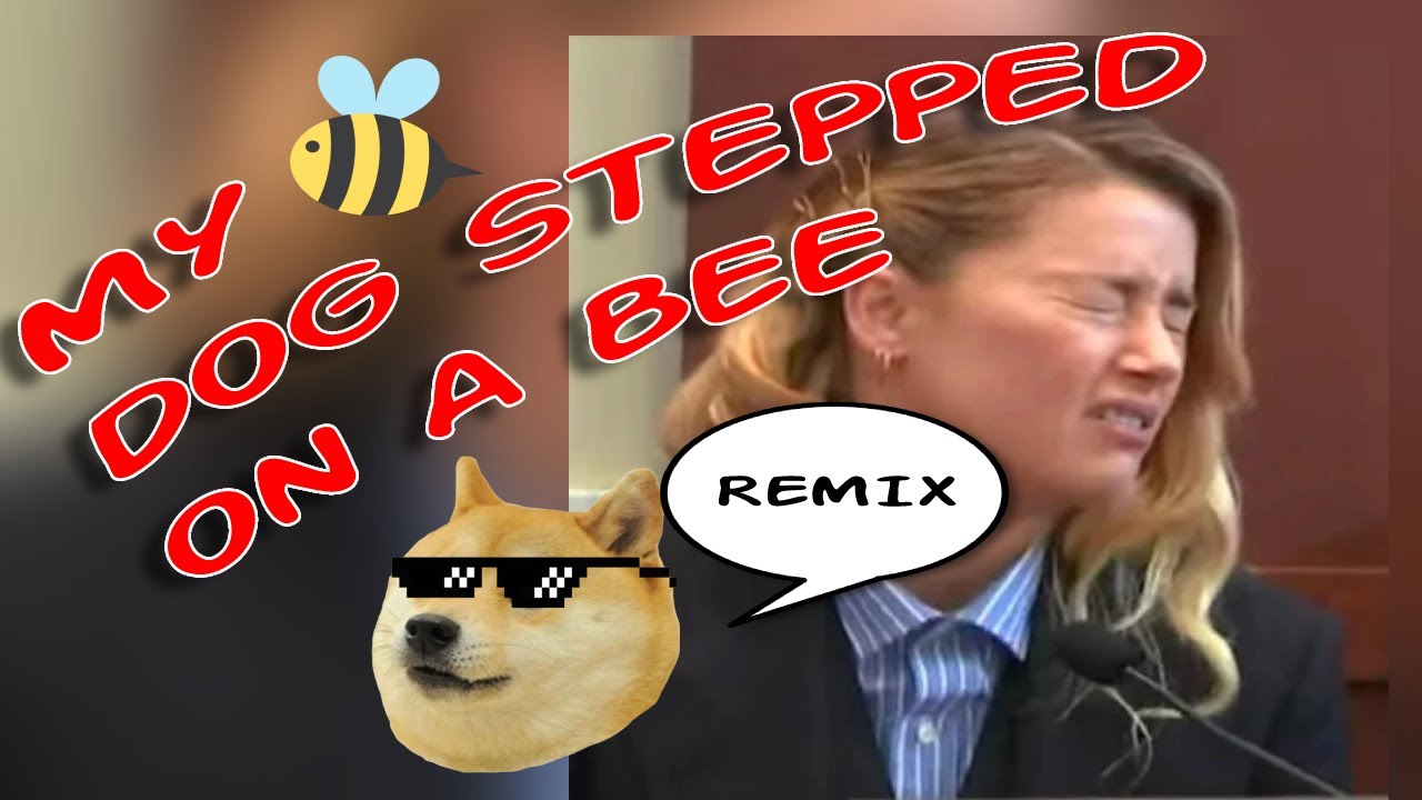 Amber 💩 - Dog Stepped on a Bee Remix! #amberturd