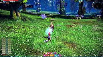 TERA Combat Levelling - Priest (CBT5)