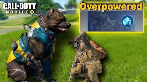 Clown Class Is OVERPOWERED | COD Mobile Clown Class Gameplay Season 6 | cod mobile on iPhone 7 2023