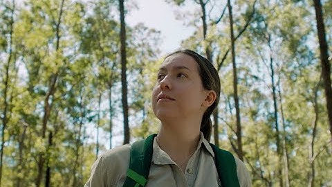 Australian Ecoacoustics | Helping build Australia