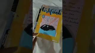 Project sheets design ideas|12 class|Creative ideas