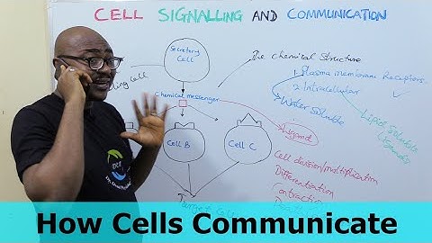 How Cells Communicate – Part 2