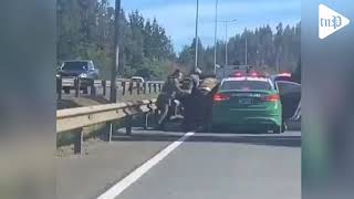 Carabinero muere de un disparo en Metrenco, región de La Araucanía