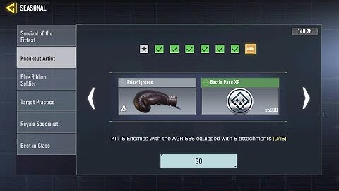 Kill 15 Enemies with AGR 556 equipped with 5 attachments