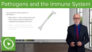 Pathogens and the Immune System: Introduction – Immunology | Lecturio