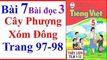 Tiếng Việt Lớp 5 Bài 7 | Cây Phượng Xóm Đông | Trang 97 - 98 | Cánh Diều | Bài Đọc 3
