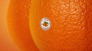 Video thumbnail of "Emotional Oranges - Iconic (Audio)"