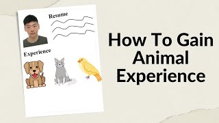 How To Gain Animal Experience For Your Vet School Application | A Helpful Guide screenshot 1