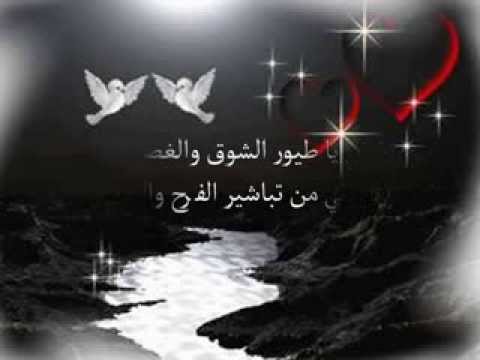 رفرفي يا طيور الشوق