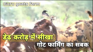 गोट फार्मिंग के फायदे और कायदे | goat farm business | guru goat farm bhiwani haryana | pkraj vlogs