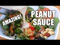 Amazing Peanut Sauce Recipe | Bonus Stir-Fry