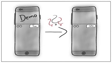 The Endowment Effect