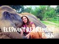 DONT ride Elephants DO Elephant RETIREMENT park - Chiang Mai