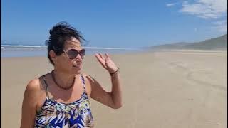 Mitimiti #mitimiti #hokianga #newzealand #outbacknz #4x4beachdrive #newzealandbeach #tasmansea