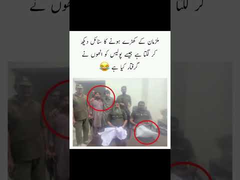 أسطورة مضحك ميمات  فيديوهات قصيرة فيديوهات قصيرة