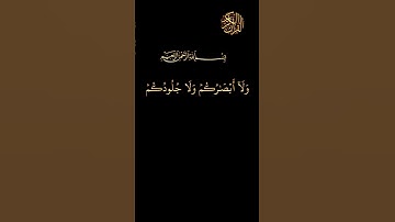 وقالوا لجلودهم لم شهدتم علينا/كرومات قرآن كريم شاشه سوداء ملونه/هيثم الدخين/سورة فصلت