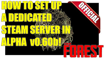 ► How To Set Up a Steam Server In The Forest [Official]