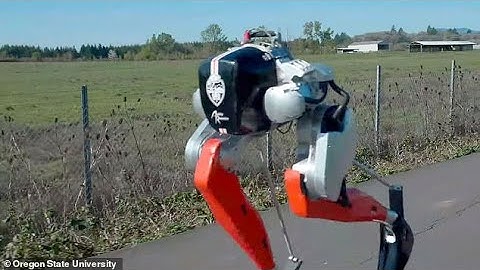 Robot funded by US military successfully runs 5K