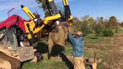 65 gallon potter (Tree Spade)