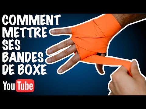 Vidéo: 3 façons simples de garder les dents de votre boxeur propres