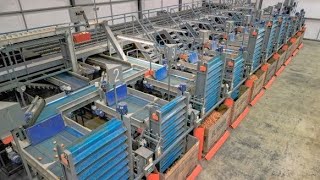 Optical Onion Sorting Line from Tong featuring MAF Roda optical grading | Elveden Farms Ltd, UK