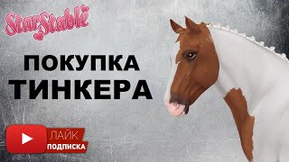 Покупка Тинкера в игре Star Stable Online | Покупка новой лошади в Стар Стейбл | Тинкер 2019