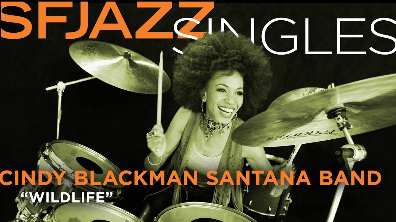 Watch SFJAZZ Singles: Cindy Blackman Santana Band performs "Wildlife" on YouTube Watch SFJAZZ Singles: Cindy Blackman Santana Band performs "Wildlife" on YouTube