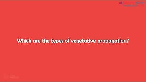 Vegetative Propagation (Grafting )