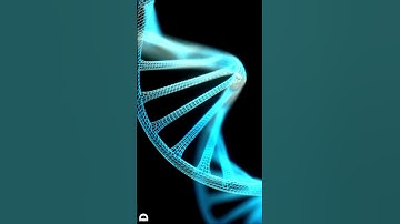 DNA Structure