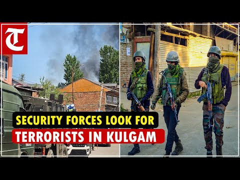 Operation to hunt down terrorists under way in Kulgam