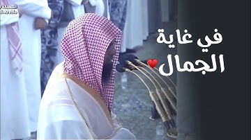 تلاوة في غاية الجمال من سورة المائدة للشيخ أ. د. محمد برهجي | عشاء الجمعة 26-6-1446هـ