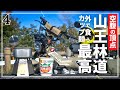 【ラーツー】山王林道と霧の金精峠…絶望的に寒い…｜CT125ハンターカブツーリング