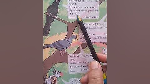 NCERT -  EVS, CLASS - 3, Chapter - 8 (Flying High) Video - 1