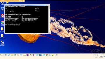 Basic SharePoint 2013 Powershell Commands