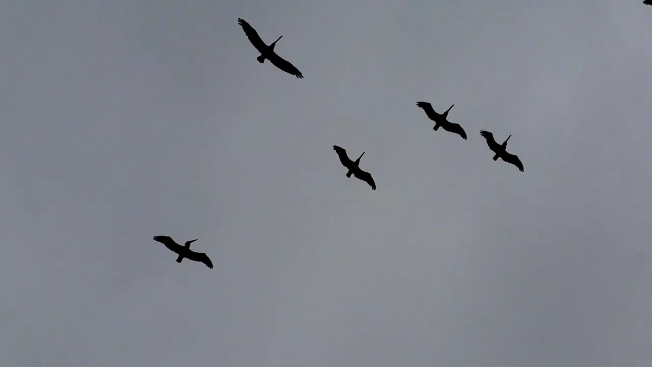 Ocean Views x Stacey Jordan