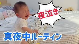 8ヶ月赤ちゃん Youtube