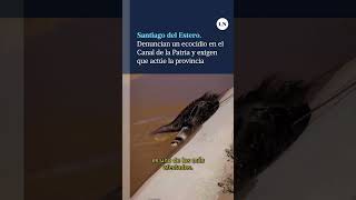 Santiago Del Estero: Denuncian Un Ecocidio En El Canal De La Patria Y Exigen Que Actúe La Provincia