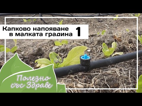 Видео: Интересни начини за напояване на лятна вила или градина