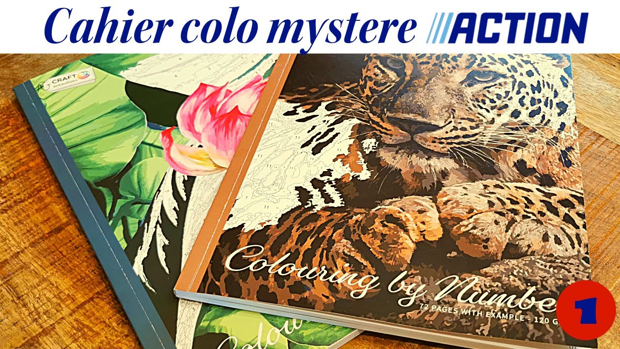 Présentation et coloriage des cahiers mystère d'Action 📘 - YouTube