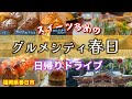 #74 【福岡県春日市】甘いもの多めのグルメドライブ🚙新旧スイーツ店とチーズケーキ自慢の蕎麦屋で甘いもの三昧【50代夫婦ドライブ】