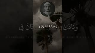 وَهِىَ تَجْرِى بِهِمْ فِى مَوْجٍۢ كَٱلْجِبَالِ | القارئ الشيخ محمد صديق المنشاوي | سورة هود