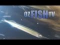 Oz Fish TV Season 3 Episode 7 - Coronet Bay Garfishing