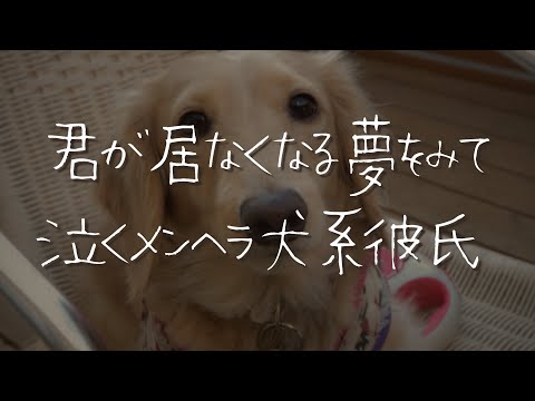 【女性向け】君が居なくなる夢をみて泣くメンヘラ犬系彼氏が面倒くさくて可愛い【シチュエーションボイス/睡眠導入/ロールプレイ/嫉妬/年下】 #asmr