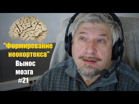 Формирование неокортекса. Сергей Савельев (Вынос мозга #21)